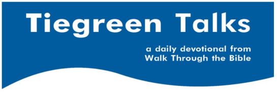 Tiegreen talks banner