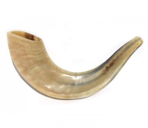 shofar
