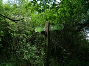 b28568d3-0bd1-415d-b116-fee5cd126f38